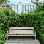 pexels-vishvajeet-kumar-1546875-38186507 (1)